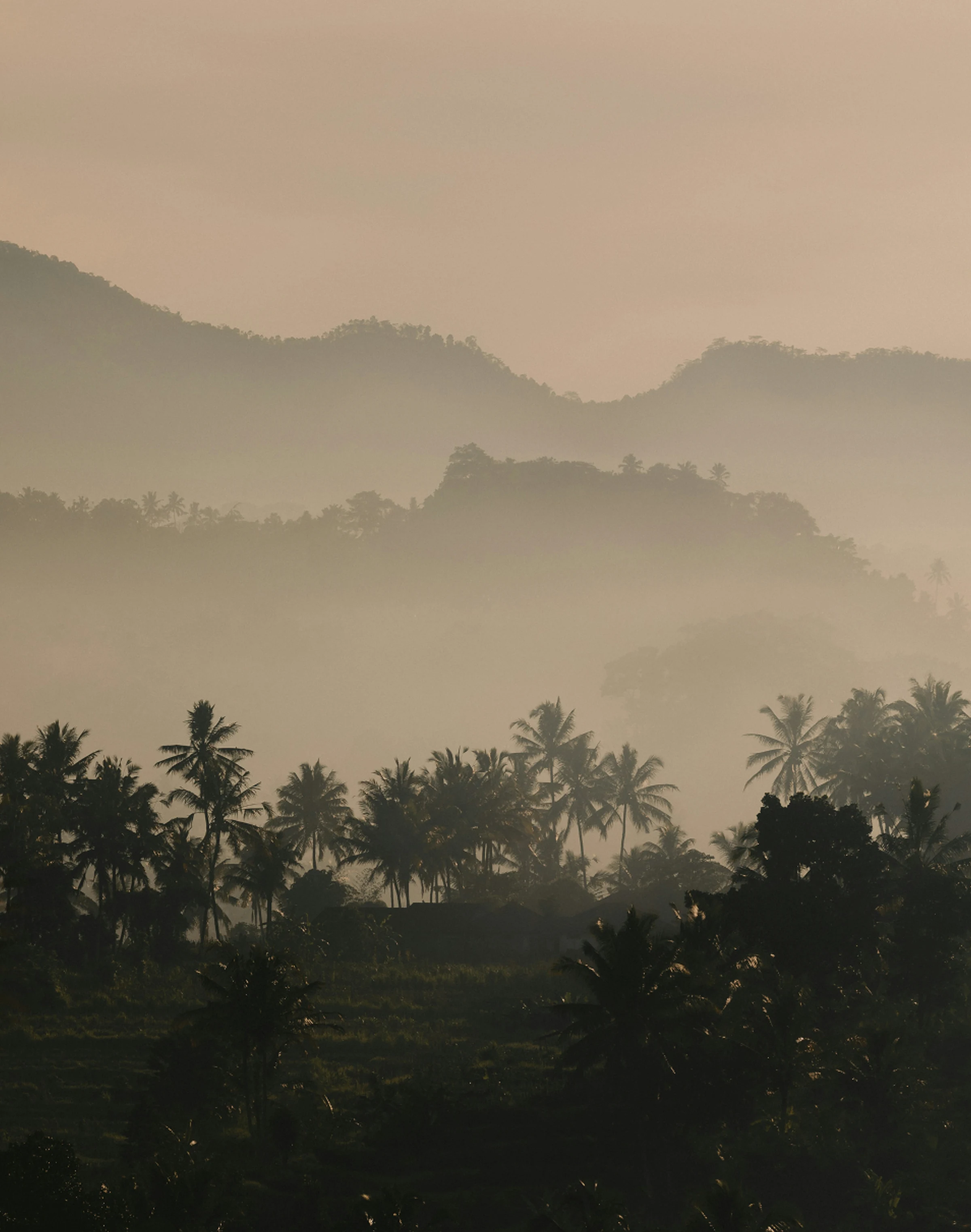 Berawa neighbourhood near Villa Zambala Canggu
